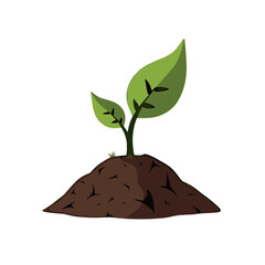 Plant seedling in soil, the concept of growth