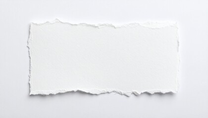 torn white paper background graphic template