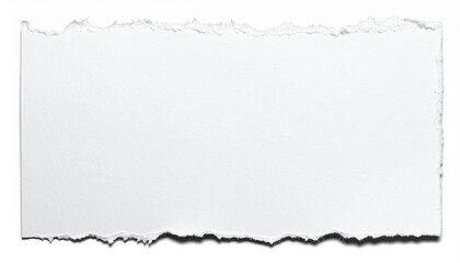 white torn paper edge background graphic template