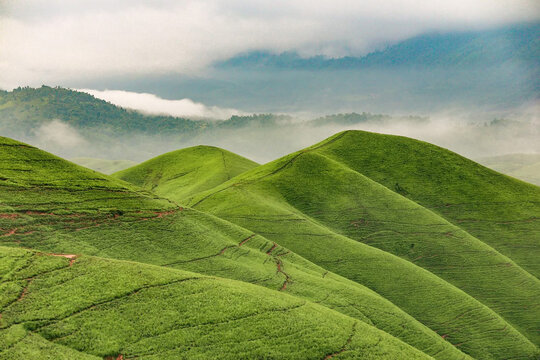 natural and mountain a landscape during the rainy season, showcasing rolling bald mountains with misty air and scattered patches of fresh green grass.