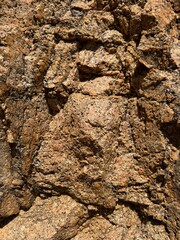 Close-up of textured rock surface with rich earthy tones and visible fissures, ideal for geology, backgrounds, or natural material studies.