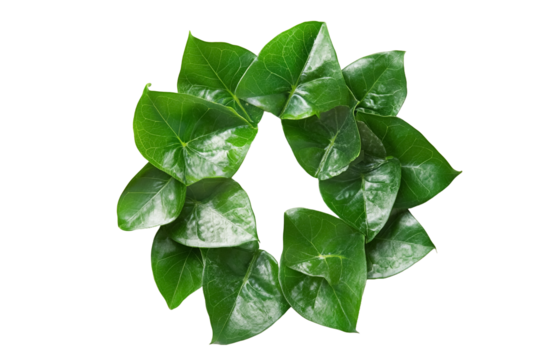 Green leaf in the shape of a recycling symbol on a white background.