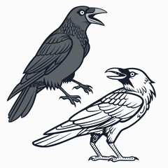 Two crows in graphic style raven bird