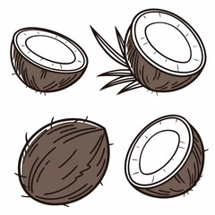 Coconut halves and whole fruit tropical fruit food