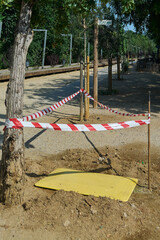 Construction site within a park featuring young trees and safety barriers, highlighting urban greening efforts. Ideal for conveying concepts of city planning, sustainability, and community