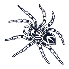 Dark Spider Legs arachnid insect