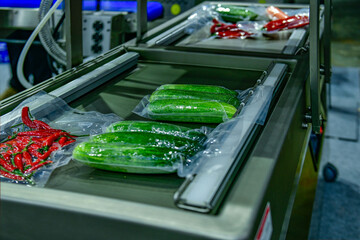 Fresh vegetables packed in a clear plastic wrap production line in factory, industrial food production