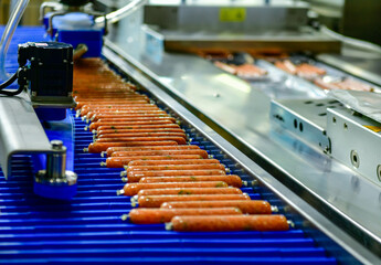 High-performance machines are wrapping processed fresh food products sausages. food production lines on conveyor belts, food production industry