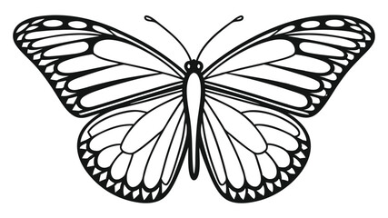 Butterfly silhouette with intricate wing details