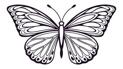 Butterfly silhouette with intricate wing details