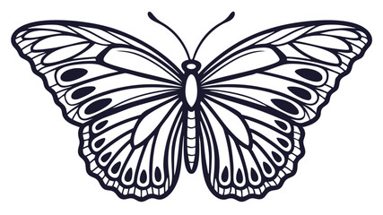 Butterfly silhouette with intricate wing details