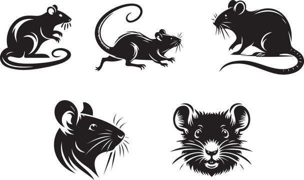 Rat Face and Silhouette Vector Set