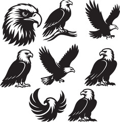 Wings Unbound  the Many Faces of the Eagle black and white 