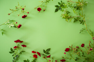 miniature red roses with clear space for text on green background