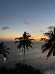 Fototapeta premium Sunset over ocean with palm trees