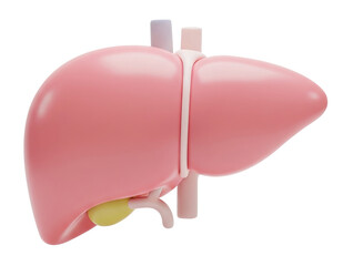 Simplified 3D rendering of a human liver with gallbladder and blood vessels, useful for medical, educational, and healthcare content.

