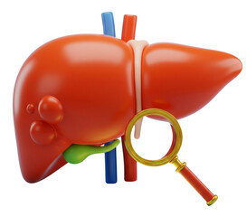 Simplified Medical 3D Model of the Liver (Hepar), Gallbladder, and Hepatic Vasculature with Diagnostic Focus.