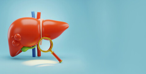 3D Anatomical Illustration of Human Liver with Gallbladder, Blood Vessels, and Magnifying Glass on a blue background. Ideal for Hepatology and Medical Education.