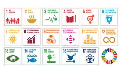 Sustainable Development Goal (SDG)