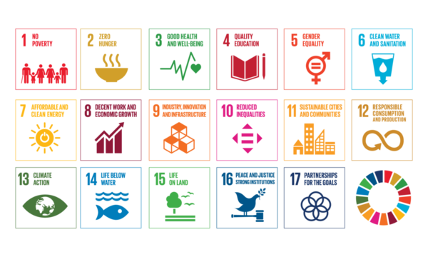 Sustainable Development Goal (SDG)