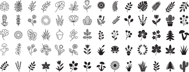 Botanical elements floral leaves plants nature vector
