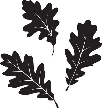 set of autumn leaves, fall leaves silhouette vector set, fall leaves silhouette vector illustration