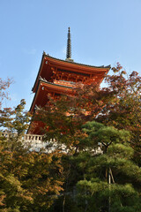 世界遺産清水寺　色づき始めたモミジと三重塔(京都市東山区)