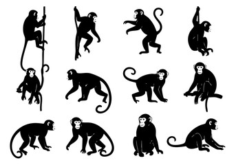 Black Silhouette Various Monkeys Animal Silhouette Wildlife Mammal Jungle Icon