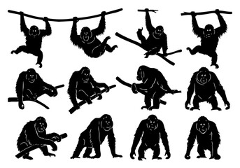 Silhouette Detailed Orangutan Borneo Wildlife Mammal Jungle Animal Collection © logo