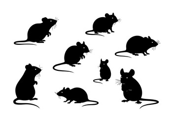 Silhouette Group of Wild Black Rat Various Poses Illustration