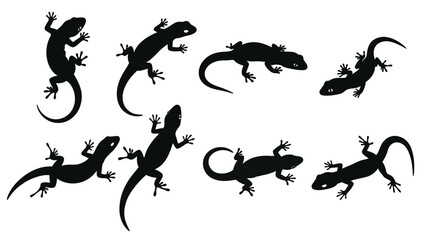 Variant style of lizard silhouette set, flat lizard vector illustration, black color isolated on a white background.