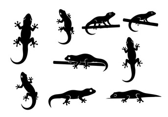 Silhouette Various Poses Lizard Reptile Wildlife Nature Graphic Set Illustration