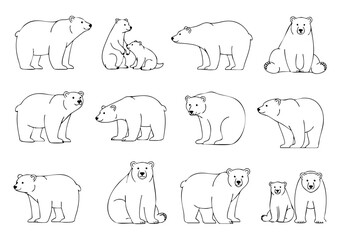 Simple Line Drawing Polar Bear Various Poses Wildlife Animal Illustration