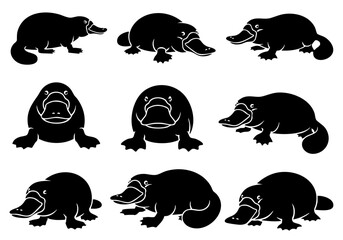 Silhouette Cute Platypus Animal Icon Poses Collection with Various Perspectives