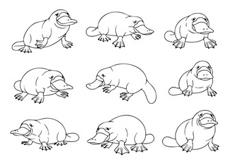 Handdrawn Lineart Diverse Platypus Animal Illustration Set Isolated on White Background