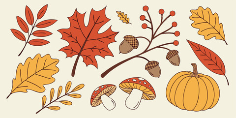 Fototapeta premium Hand drawn autumn elements including leaves acorns mushrooms and pumpkin perfect for fall season decorations or design projects.