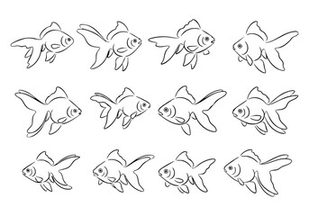 Simple Handdrawn Different Angle Goldfish Aquarium Ornamental Pet Aquatic Animal