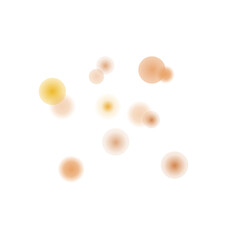 Bokeh Transparent Light Overlay