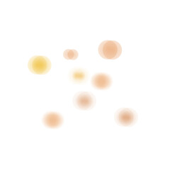 Bokeh Transparent Light Overlay