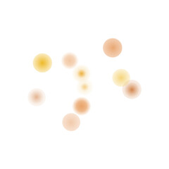 Bokeh Transparent Light Overlay