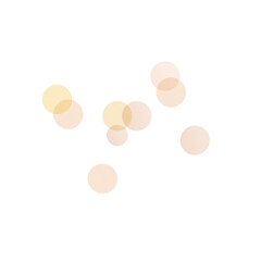 Bokeh Transparent Light Overlay