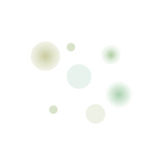 Bokeh Transparent Light Overlay