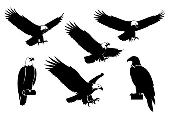 Silhouette Collection Majestic Bald Eagle Bird Wildlife Illustration Set
