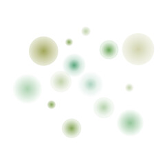 Bokeh Transparent Light Overlay