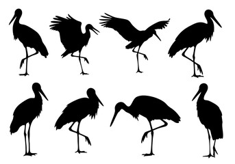 Artistic Silhouette Various Poses Crane Bird Wildlife Animal Illustration