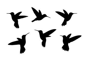 Elegant Silhouette Hummingbird Flying Collection Bird Wildlife Graphic Design