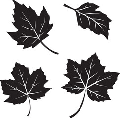 set of autumn leaves, fall leaves silhouette vector set, fall leaves silhouette vector illustration