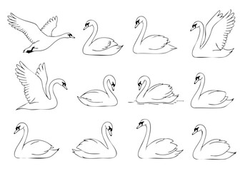 Line Art Simple Swan Bird Illustration Icon Set Collection © logo