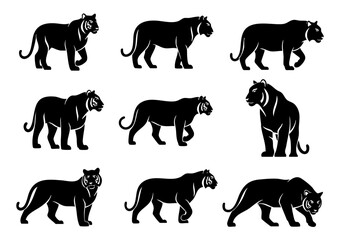 Silhouette Realistic Tiger Walking Pose Animal Illustration Collection