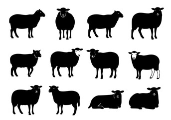 Silhouette Various Poses Sheep Livestock Animal Farm Collection Illustration